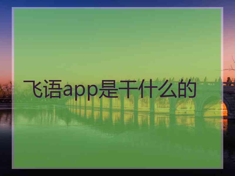 飞语app是干什么的