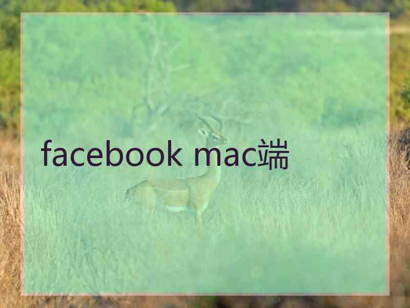 facebook mac端