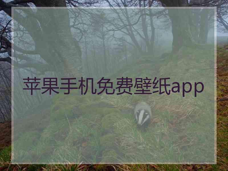 苹果手机免费壁纸app