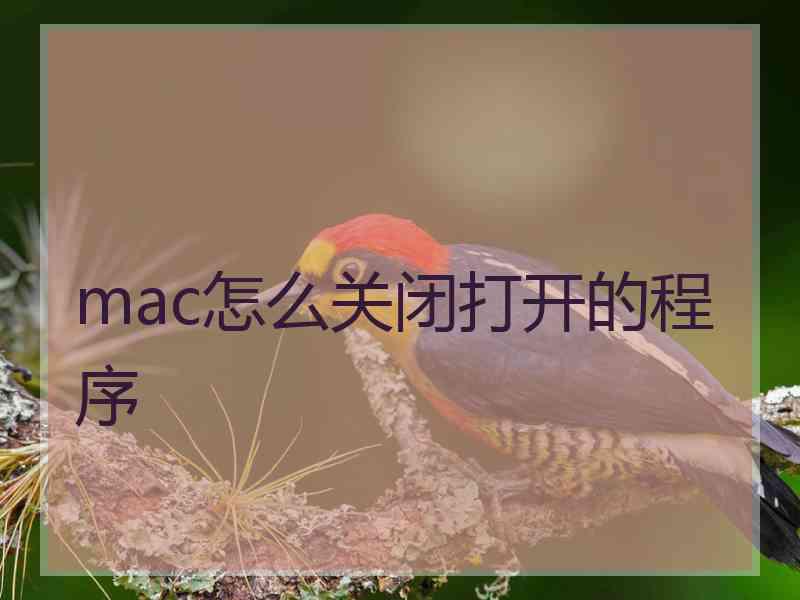 mac怎么关闭打开的程序