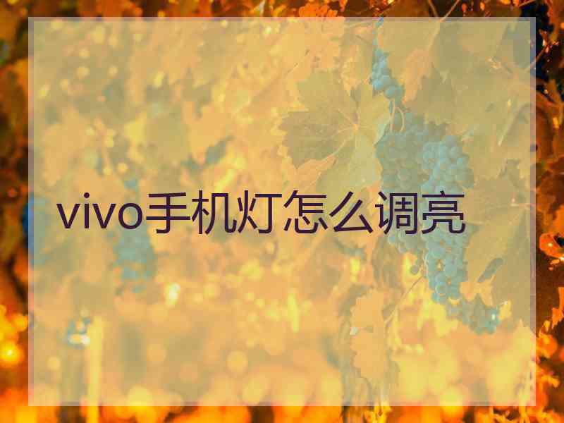 vivo手机灯怎么调亮