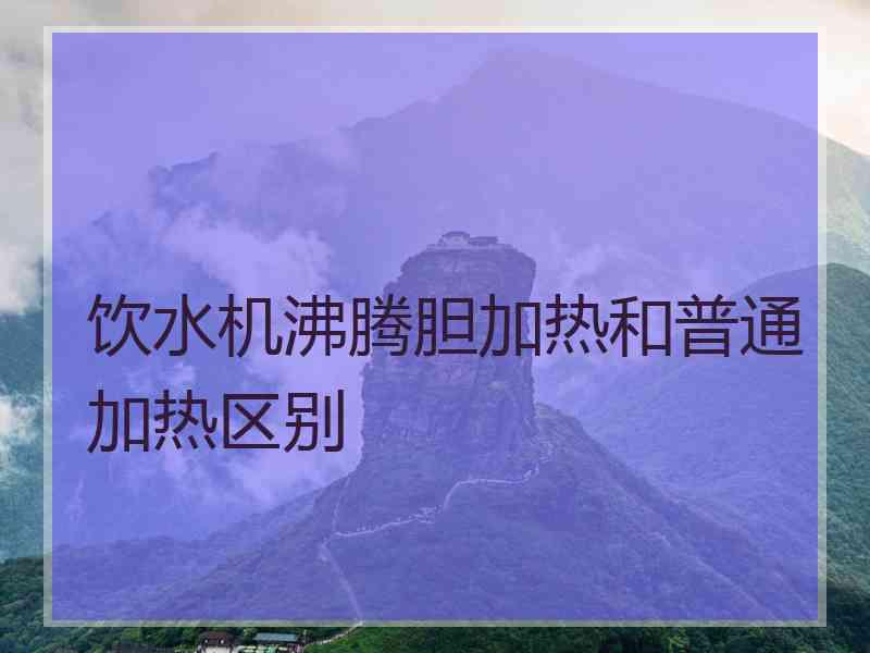 饮水机沸腾胆加热和普通加热区别