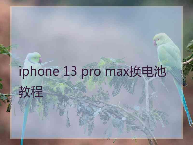 iphone 13 pro max换电池教程