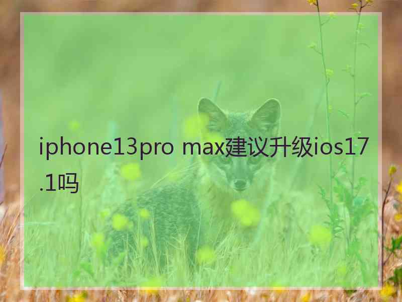 iphone13pro max建议升级ios17.1吗