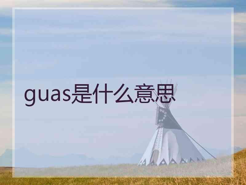 guas是什么意思