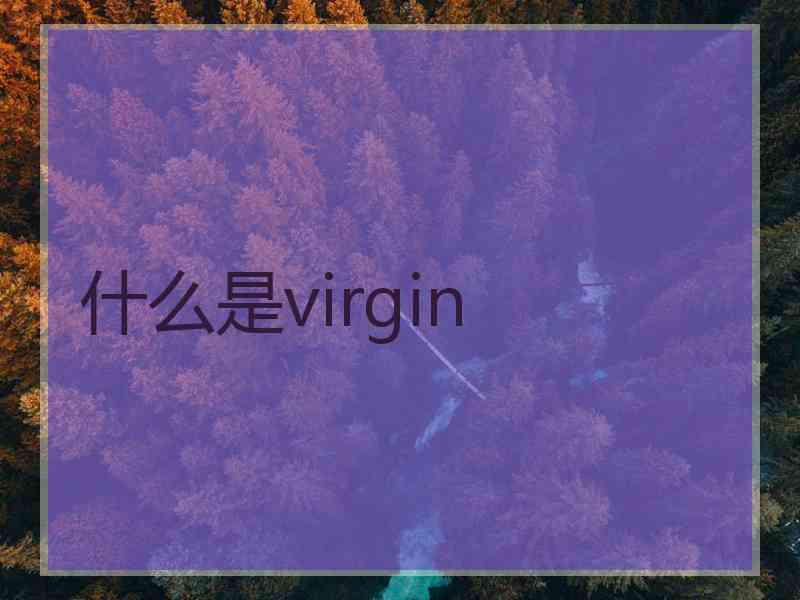 什么是virgin