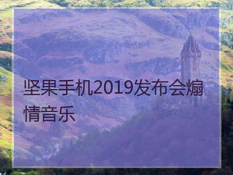 坚果手机2019发布会煽情音乐