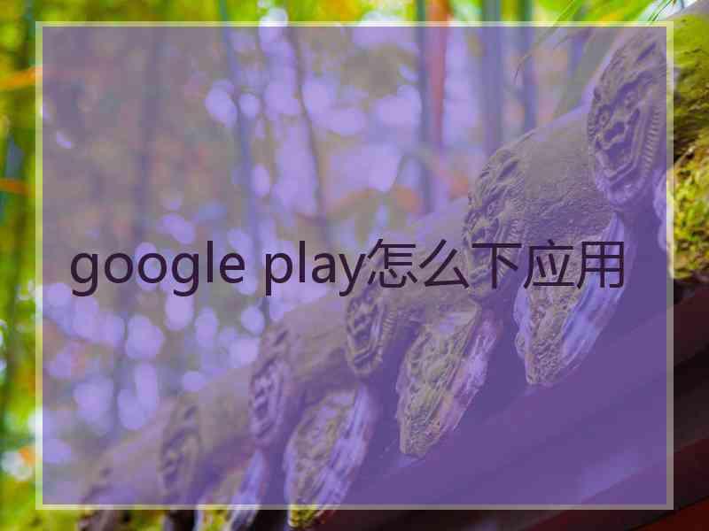 google play怎么下应用