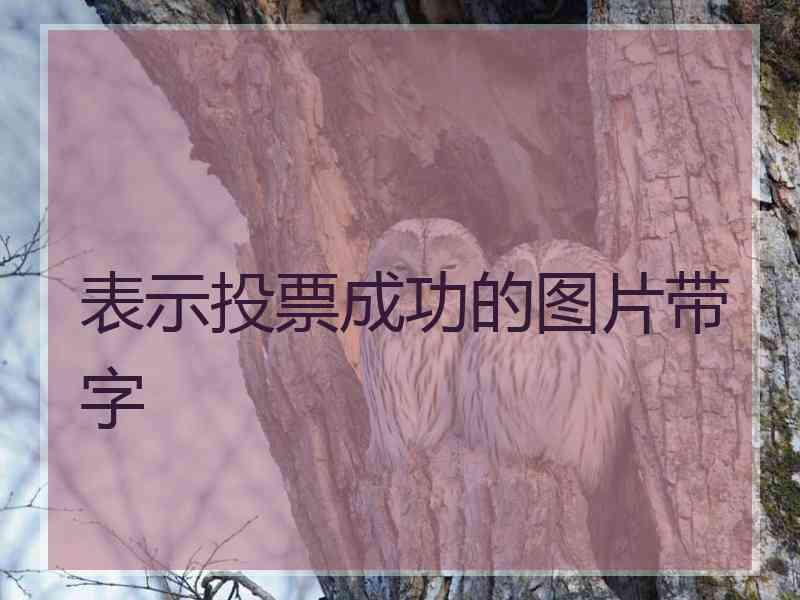 表示投票成功的图片带字