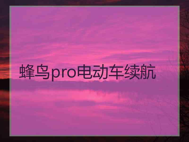 蜂鸟pro电动车续航