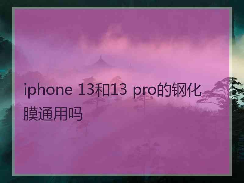 iphone 13和13 pro的钢化膜通用吗