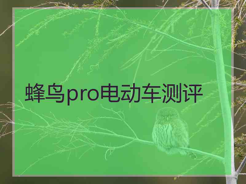 蜂鸟pro电动车测评