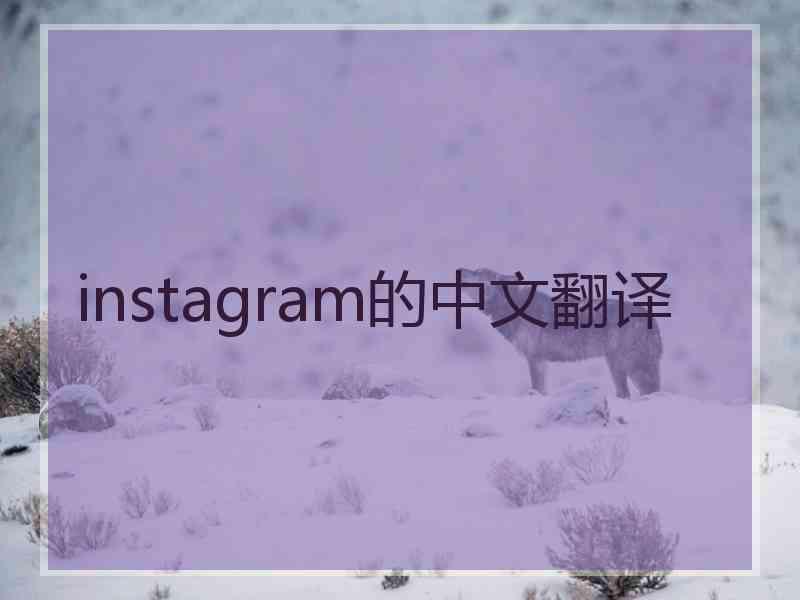 instagram的中文翻译