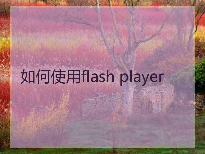 如何使用flash player