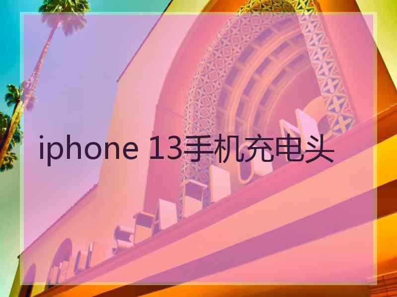 iphone 13手机充电头