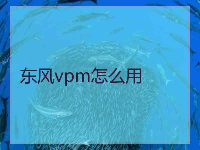 东风vpm怎么用