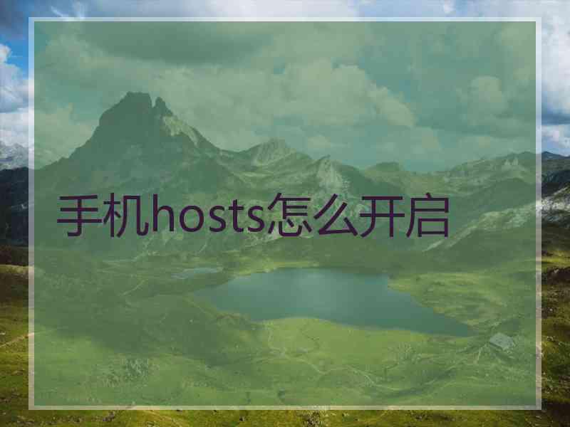 手机hosts怎么开启