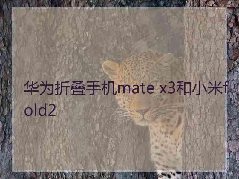 华为折叠手机mate x3和小米fold2