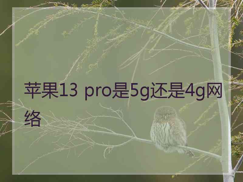 苹果13 pro是5g还是4g网络