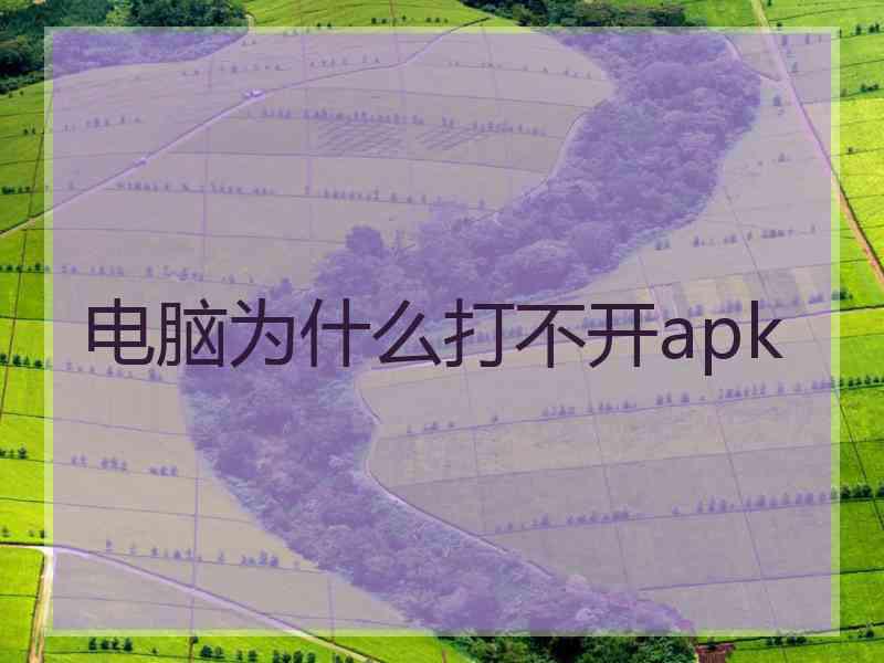 电脑为什么打不开apk