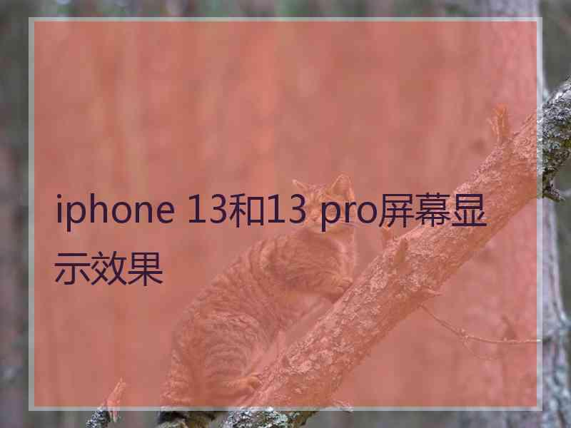 iphone 13和13 pro屏幕显示效果