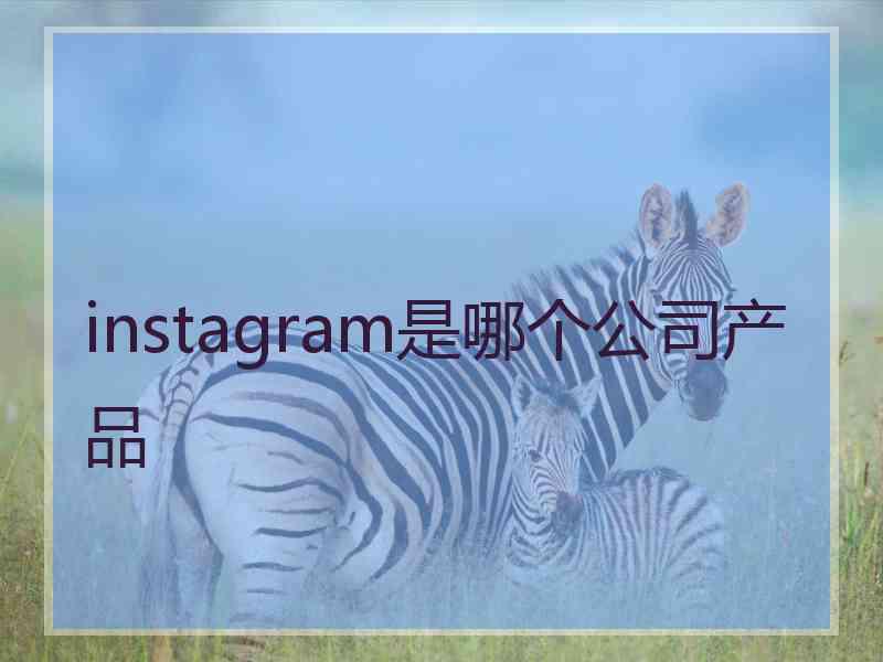 instagram是哪个公司产品