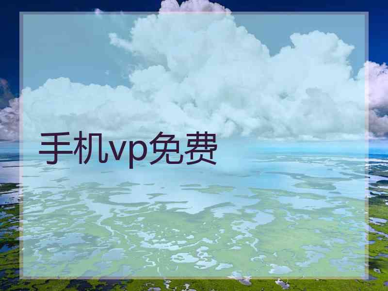 手机vp免费