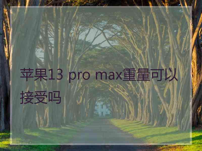 苹果13 pro max重量可以接受吗