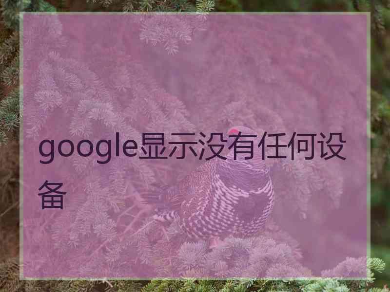 google显示没有任何设备