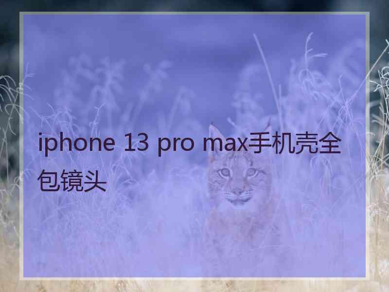 iphone 13 pro max手机壳全包镜头