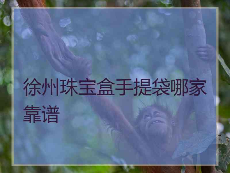 徐州珠宝盒手提袋哪家靠谱
