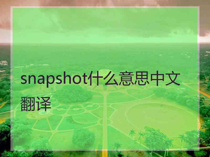 snapshot什么意思中文翻译