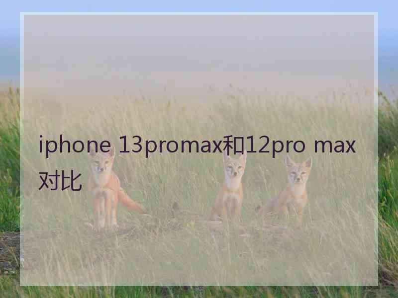 iphone 13promax和12pro max对比