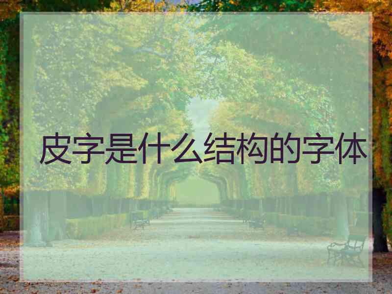 皮字是什么结构的字体