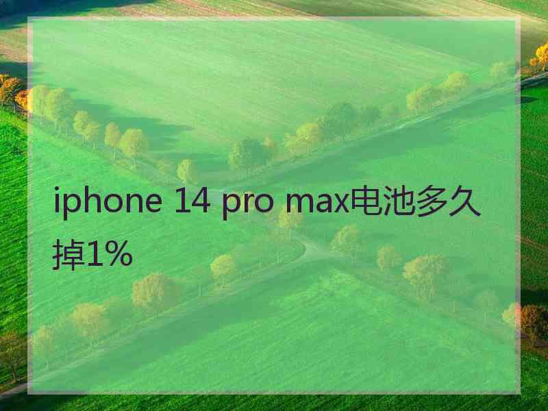 iphone 14 pro max电池多久掉1%