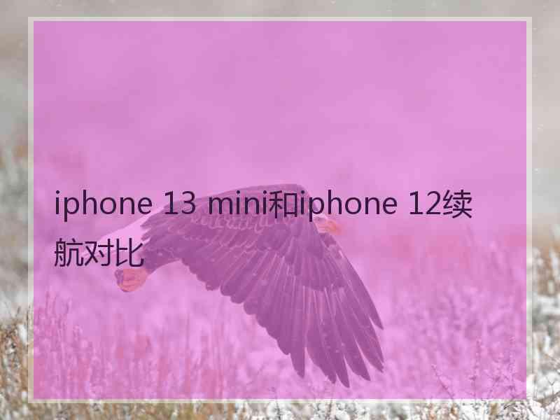 iphone 13 mini和iphone 12续航对比