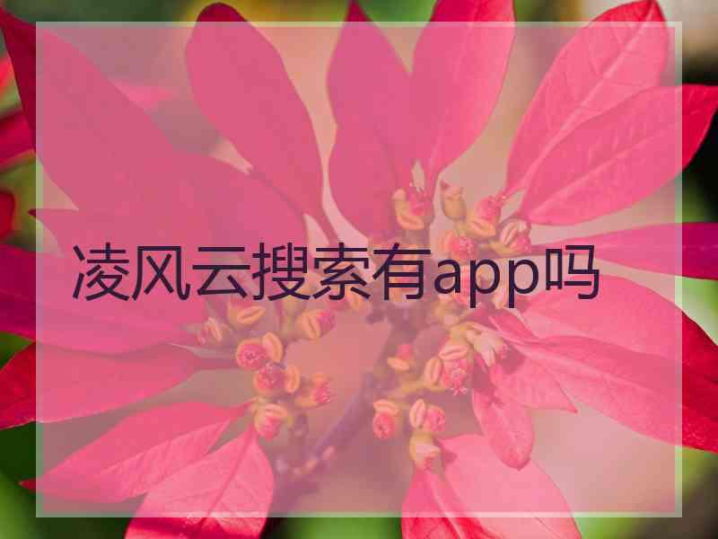 凌风云搜索有app吗