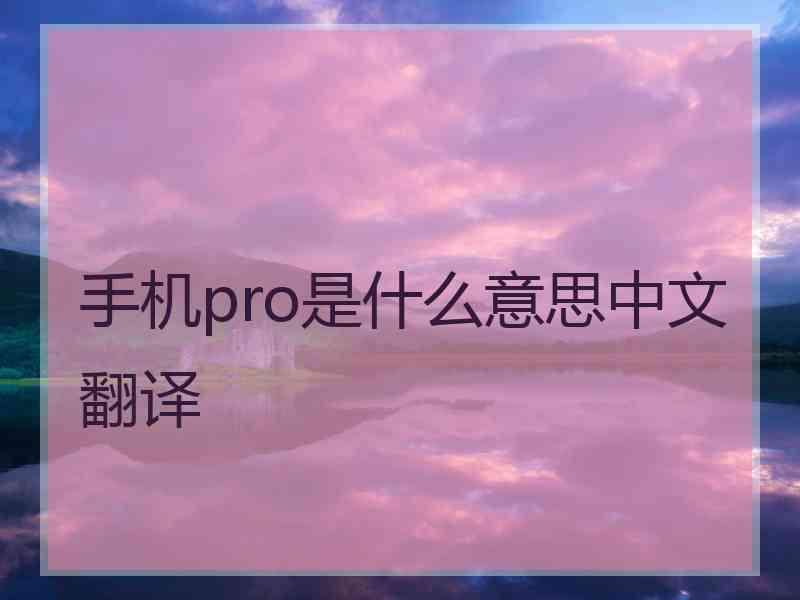 手机pro是什么意思中文翻译