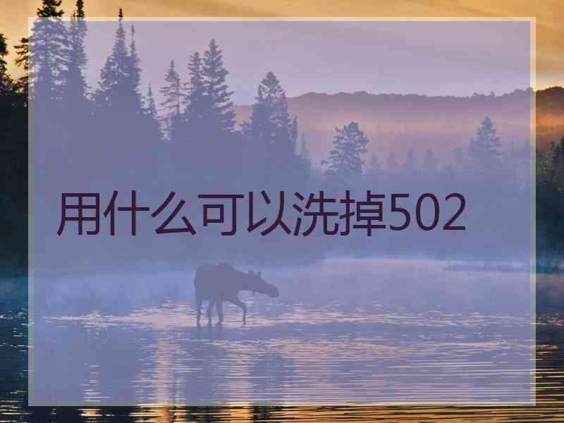 用什么可以洗掉502