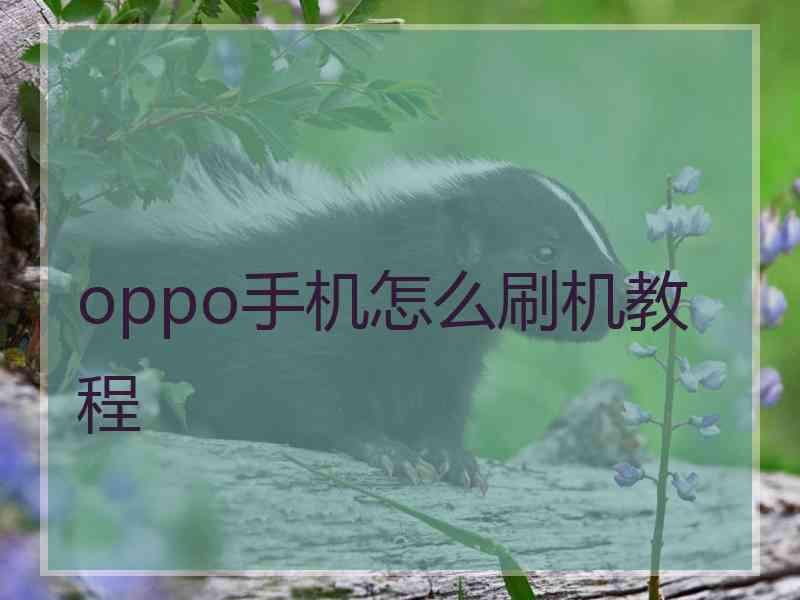 oppo手机怎么刷机教程