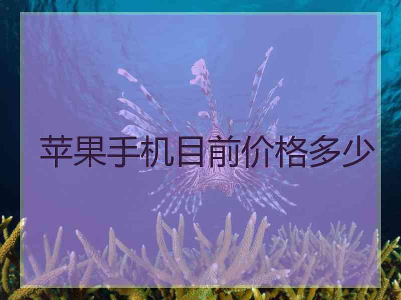 苹果手机目前价格多少