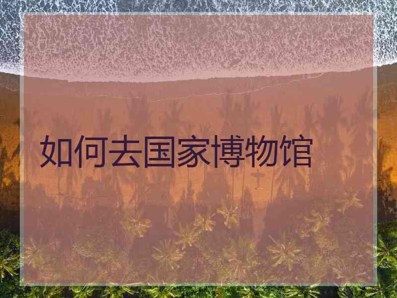 如何去国家博物馆