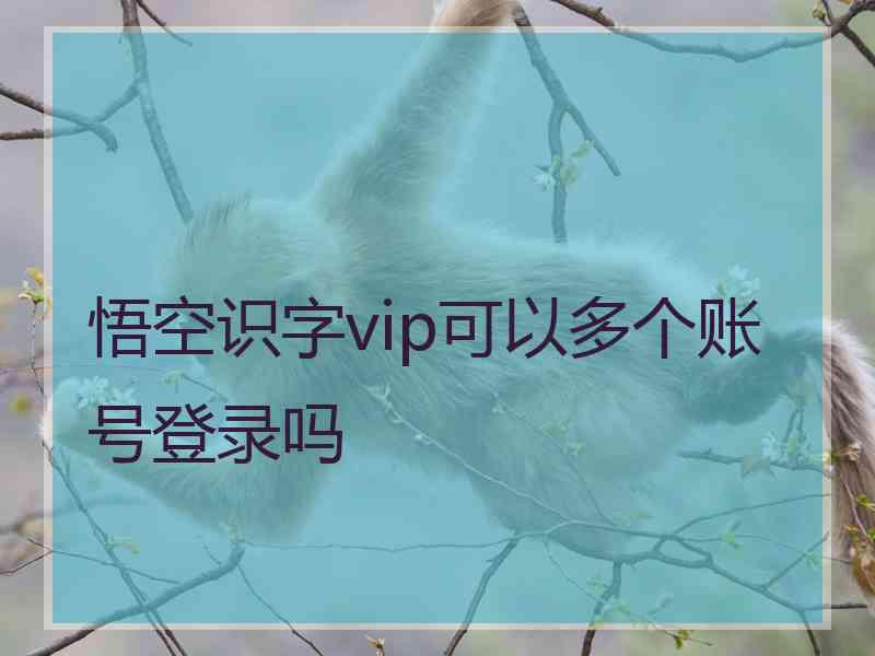 悟空识字vip可以多个账号登录吗