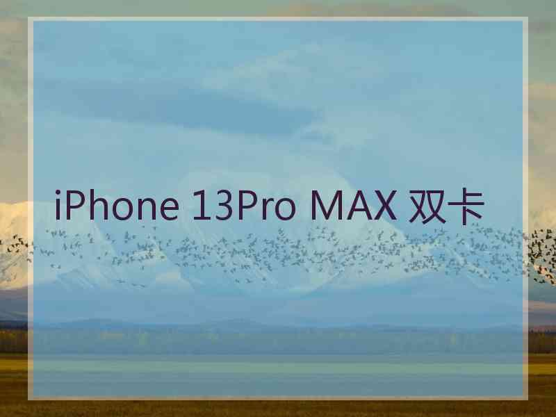 iPhone 13Pro MAX 双卡