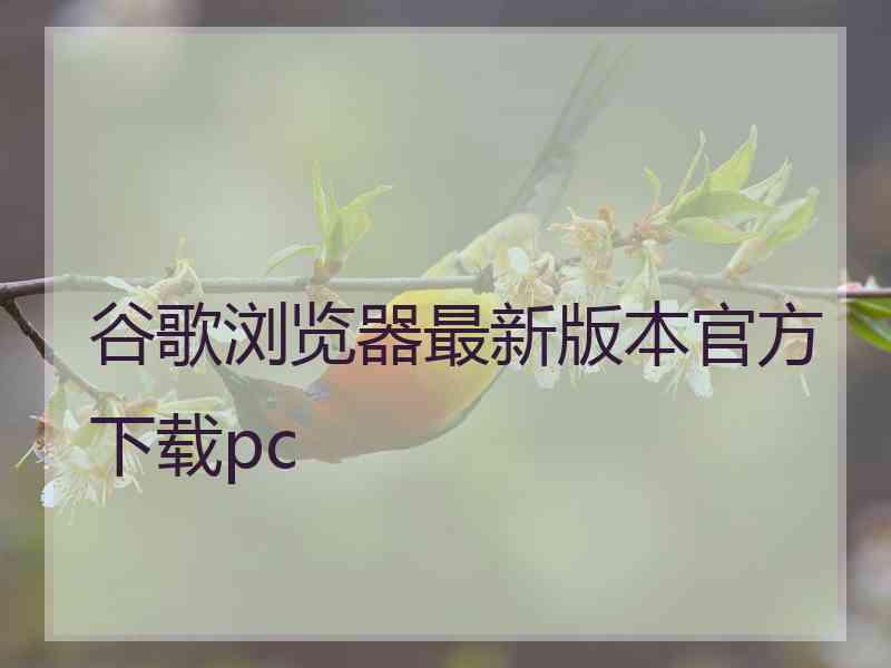 谷歌浏览器最新版本官方下载pc