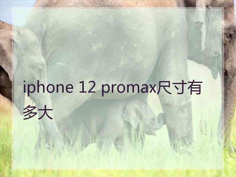 iphone 12 promax尺寸有多大