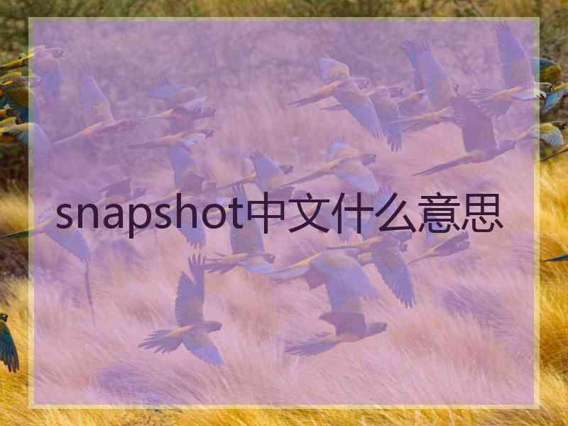 snapshot中文什么意思