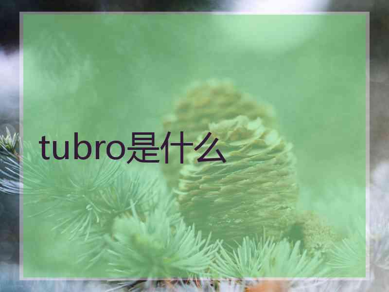 tubro是什么