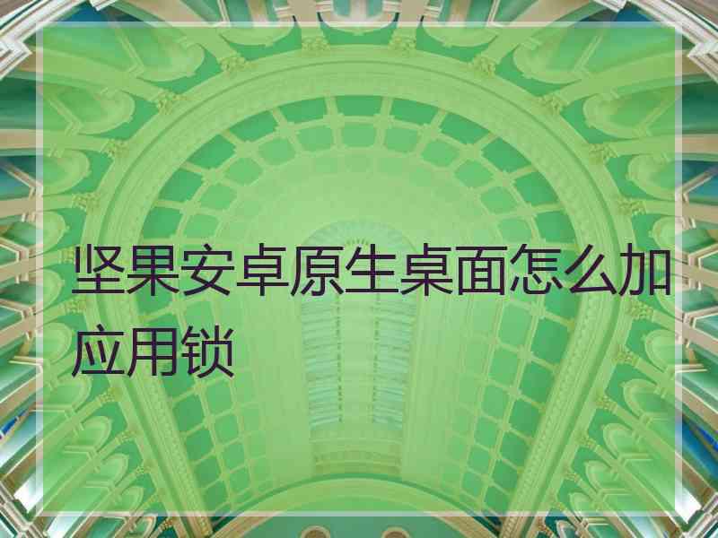 坚果安卓原生桌面怎么加应用锁