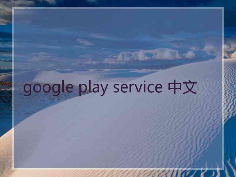 google play service 中文